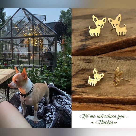 Jewelry - Duckie Studs